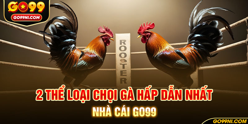 2 thể loại chọi gà hấp dẫn nhất nhà cái GO99