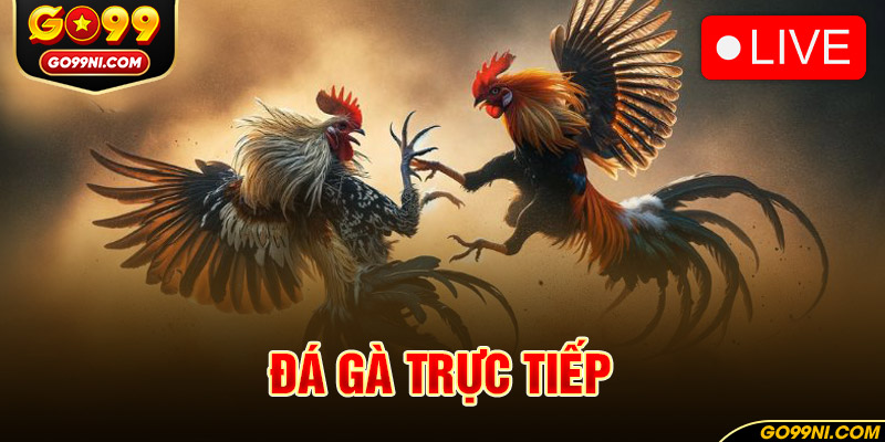 đá gà trực tiếp