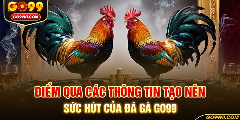 Điểm qua các thông tin tạo nên sức hút của đá gà GO99