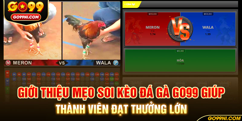 Giới thiệu mẹo soi kèo đá gà GO99 giúp thành viên đạt thưởng lớn