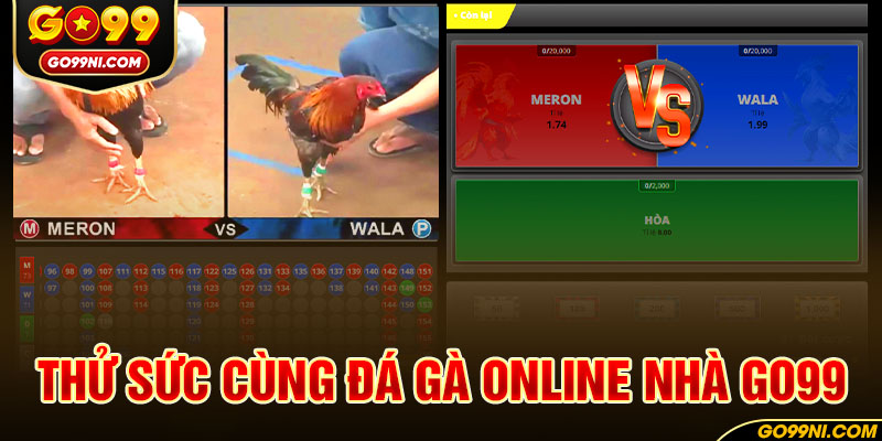 Thử sức cùng đá gà online nhà GO99